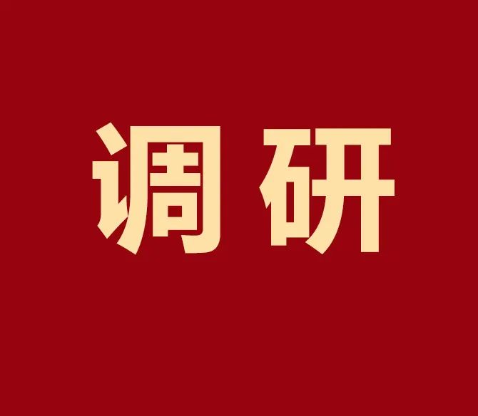 鹤壁广东省中小企业特色产业集群调研组莅临凯硕集团调研